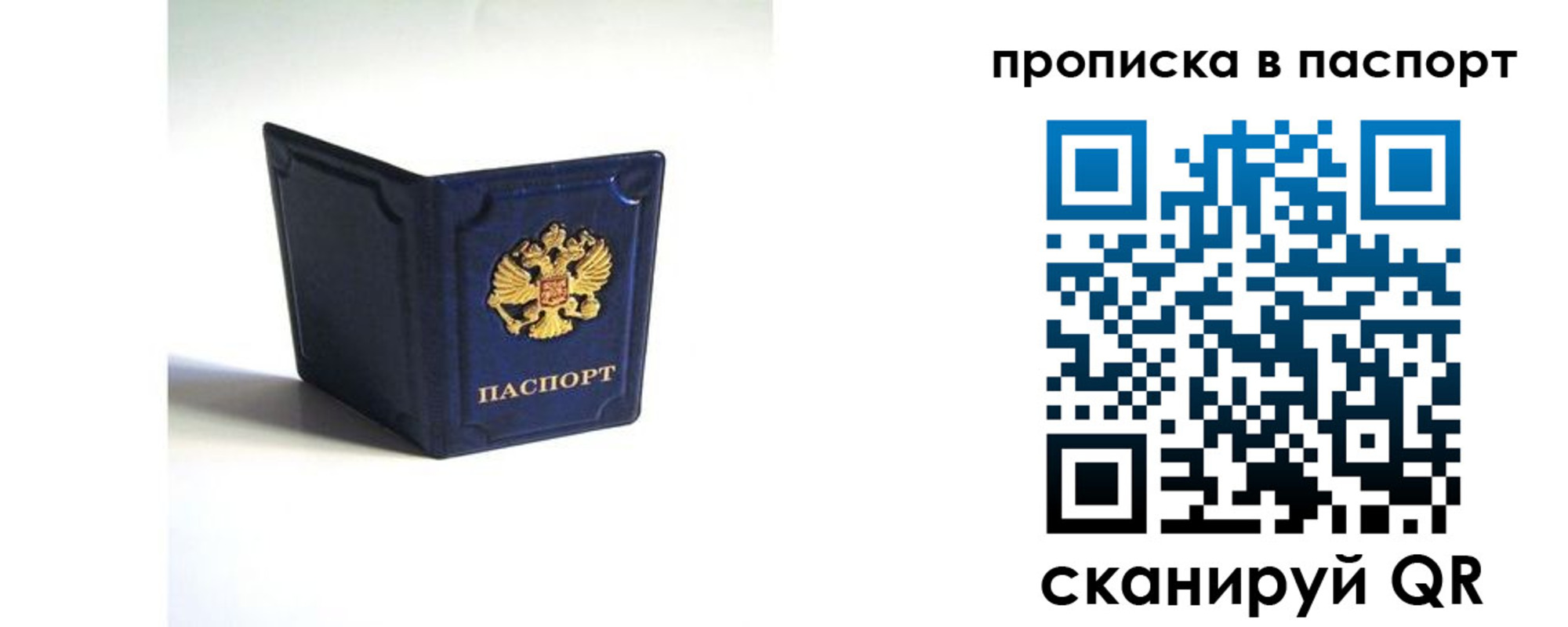 временная регистрация гарантия в Липецкая области